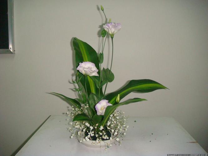  p>插花(floarr),亦可称为插花 a target="_blank" href="/item/艺术