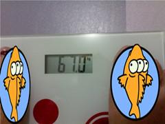 今天早上起来秤的体重,呃67公斤,好肥啊.