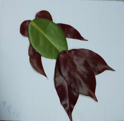 树叶变成了活灵活现的小动物啦!