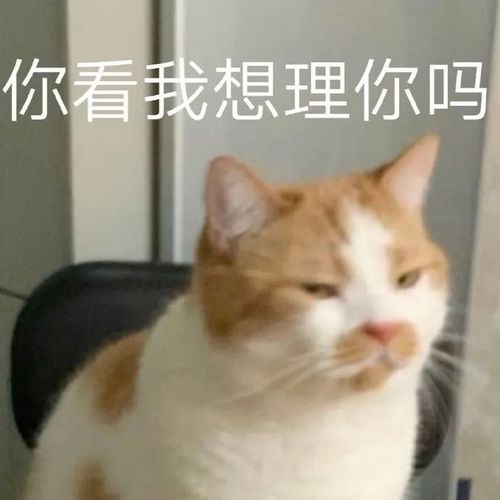 搞笑表情包我自闭了