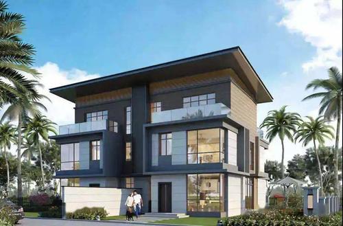 (项目双拼别墅效果图)