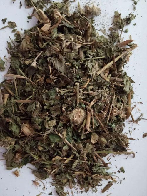 飒枫 中药材 九头狮子草 接骨草 铁焊椒 九子连环草
