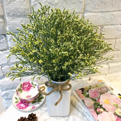 【语花田】黑龙江哈尔滨鲜花速递水晶草单品鲜花办公室家庭瓶插花