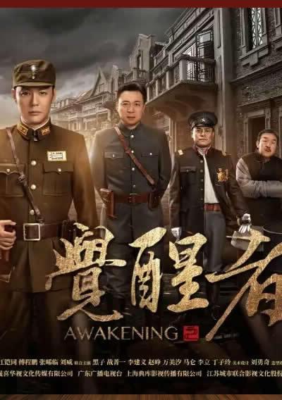 觉醒者傅程鹏版电视剧百度云-全集免费观看-谍错网