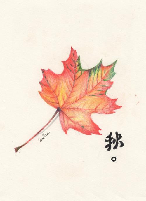 彩铅《落叶》_木兰手绘__插画师作品_涂鸦王国gracg.com