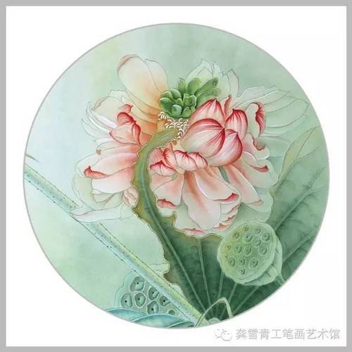 杨冬冬工笔荷花世界不染红尘不染心独出淤泥香自飘