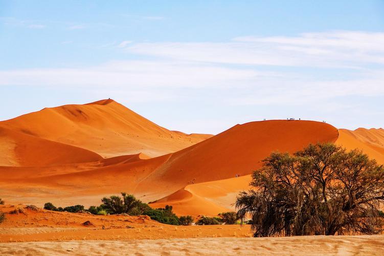 野性非洲2019之纳米布沙漠