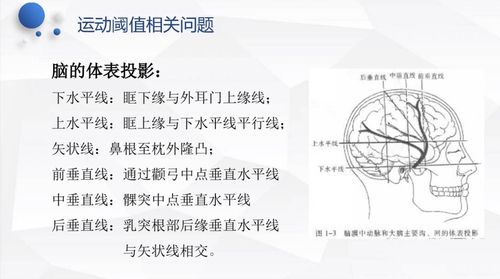 经颅磁刺激临床操作常见问题