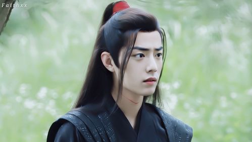 陈情令魏无羡 - 堆糖,美图壁纸兴趣社区