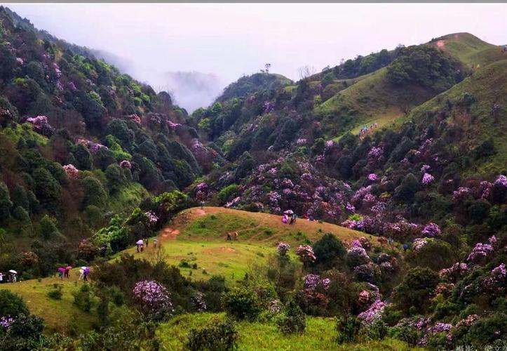 广东省阳春市双滘镇鸡笼顶美景 2017年5月13日