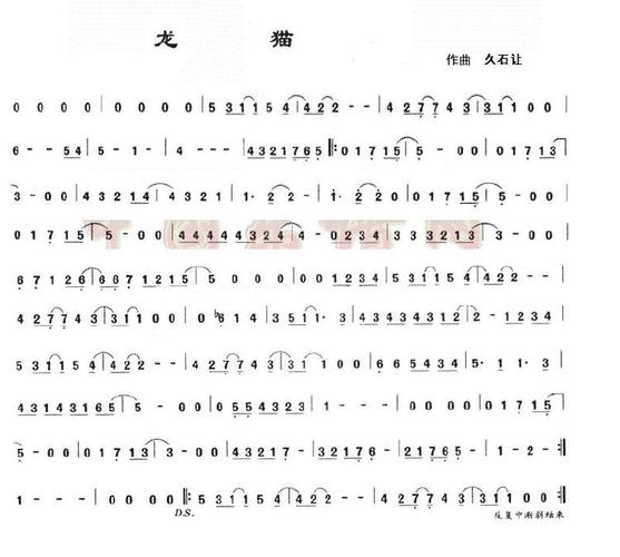 五音笛 | 龙猫