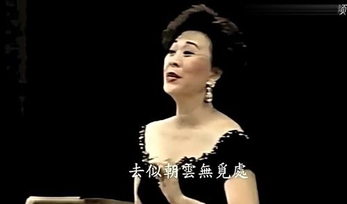 陈协耀《花非花》经典歌曲,用美声唱法更加的好听,女高音范宇文演唱