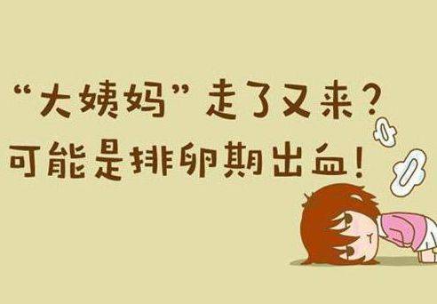 排卵期出血,还能安排"造人"吗?