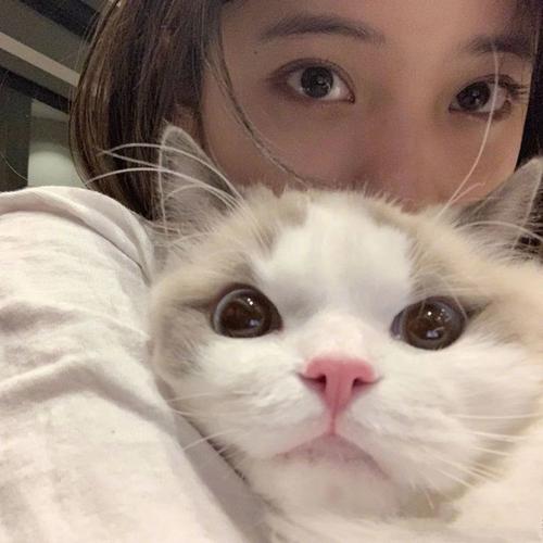 头像|抱猫女头
