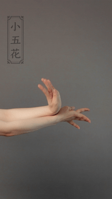 当然,还有一个易学常见的小五花剑指空心拳点指兰花掌类似古典舞中