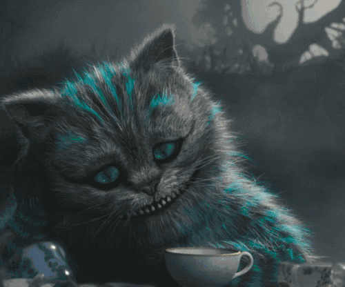 爱丽丝梦游仙境gif猫咪gif绿眼睛gif讲话gif