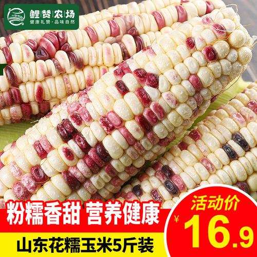 单果350g起 新鲜粘糯玉米 谷类杂粮鲜食玉米 带皮鲜苞米 软糯香甜