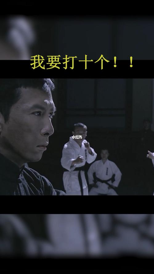 【叶问】我要打十个!_影视混剪_影视_影视混剪(视频)