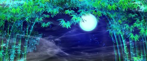 竹子月光下的凤尾竹_2400x1000_高清视频素材下载(编号:1704859)_舞台