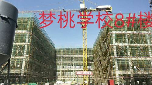 在建项目咸阳梦桃学校,渭南面粉厂,阎良国家航空高新技术产业园