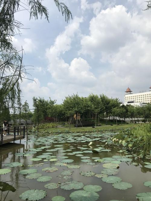 映月湖公园位于佛山市南海区桂城的南港路,是开车经过