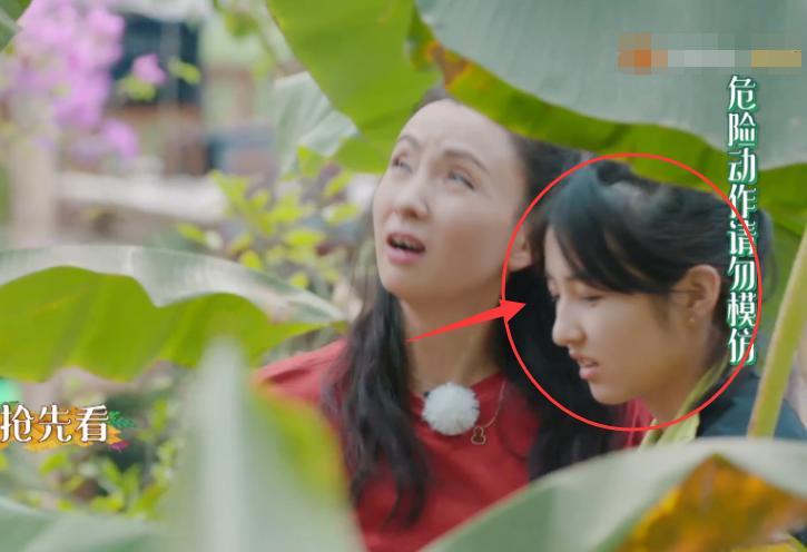 彭昱畅爬树摘椰子陶虹直夸好酷好妹妹张子枫眼神骗不了人