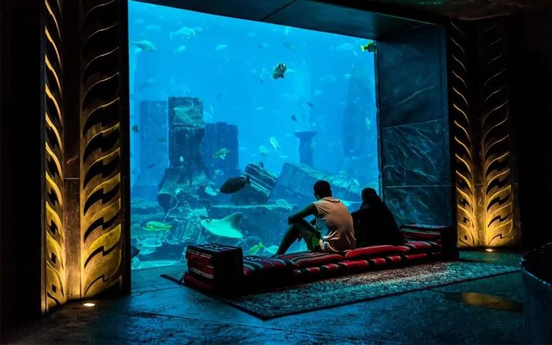 迪拜棕榈岛亚特兰蒂斯酒店的水下房间,8000美元一晚,专为迪拜精英而