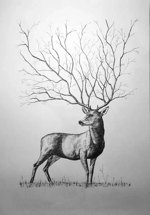 鹿|插画|创作习作|非常遥远的阿远 - 原创作品 - 站酷