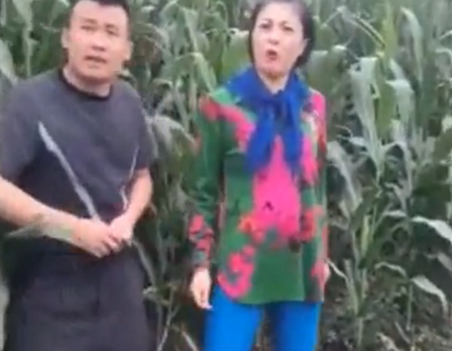 二货美女苞米地搞破鞋  被老公丢鞭炮打得一屁股包