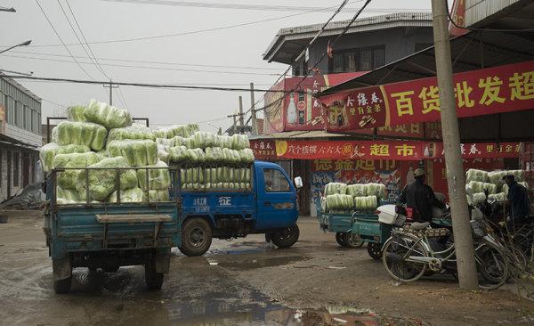 欲购者请联系：山东滕州大坞镇大刘庄会计 刘近怀先生