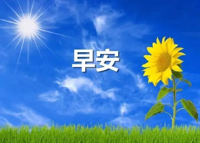 早安问候短语朋友圈说说 3月早安朋友圈文案 高雅早安