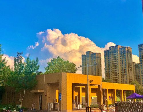 寻找山东最美大学校园|东营职业学院张海龙:《暖暖》