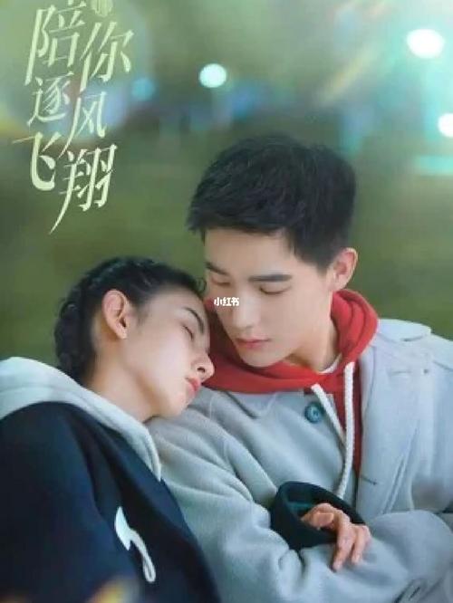 陪你逐风飞翔_电视机_影视_电视(图文)_华语剧