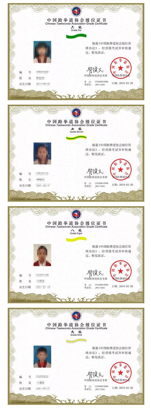 上一篇:为什么要考中国跆拳道协会的级位证 下一篇:中国国家跆拳道