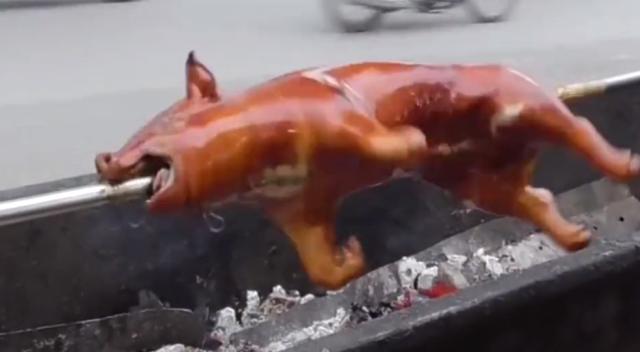 街头火爆脆皮烤乳猪,直接放烤架上烤,看着就很过瘾