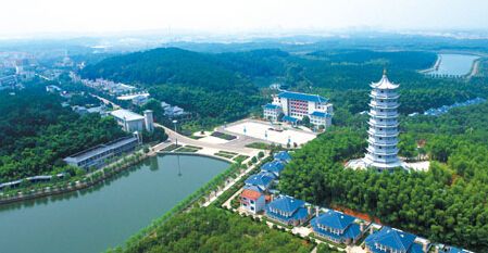 官桥八组为什么这样美