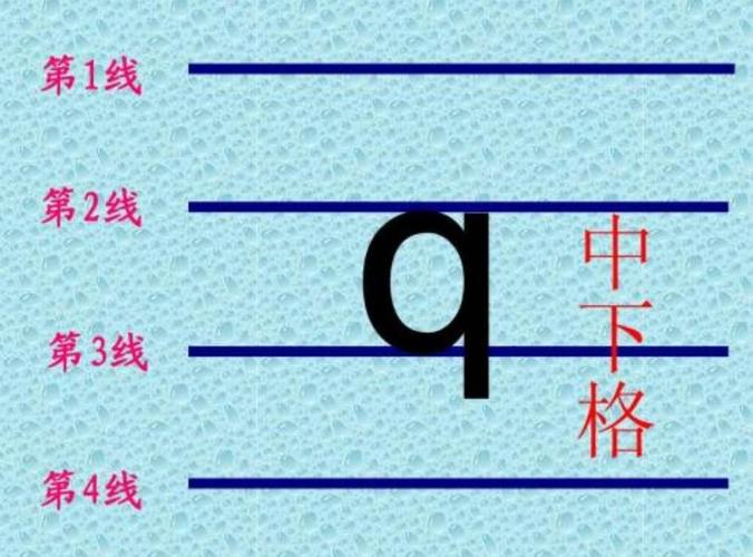 声母q在拼音格中下格,小朋友们要观察仔细了.