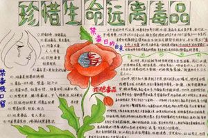 禁毒手抄报版面设计图及内容资料