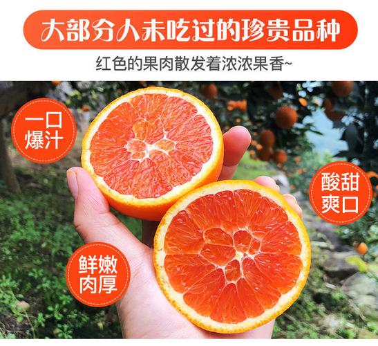 精品中华红橙血橙湖北秭归脐橙新鲜橙子水果当季孕妇非塔罗科