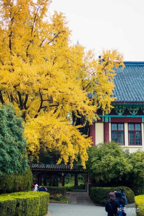 可以分享南京的图片吗,喜欢那种民国风格的.谢谢(>  )?