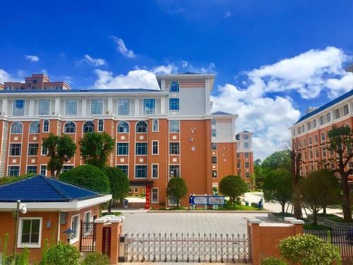 教育培训团队的组织和带领下来到长沙市天心区的仰天湖桂花坪小学参观