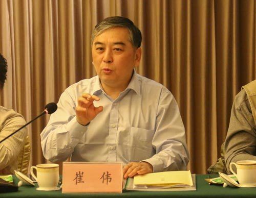 崔伟:让"双蝶"化茧成蝶