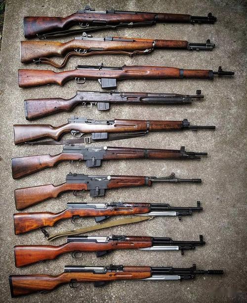 生不逢时比利时fn49半自动步枪图集