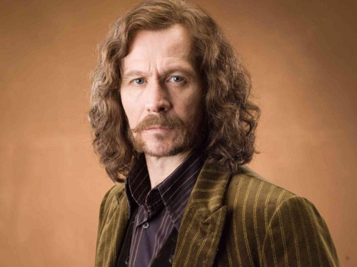 趣说哈利波特:对哈利而言,斯内普和小天狼星谁更像父亲的角色