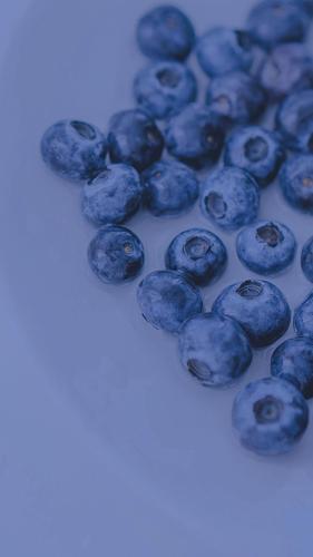 ins风冷色调蓝莓摄影,食物-手机壁纸