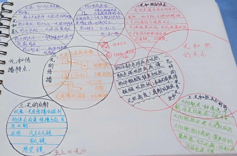 小学科学思维导图——2017学年梅城中心小学余璐
