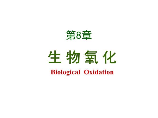 生物化学与分子生物学第8章生物氧化.pptx 107页