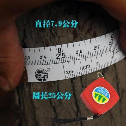 太平洋新款不锈钢测树钢围尺测树尺直径尺树径卷尺量树胸径尺包邮