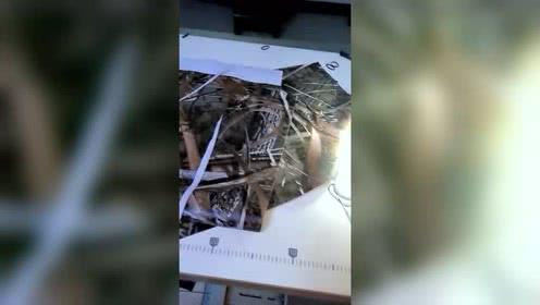 臭小子,夏天就跟你爸一样,光膀子