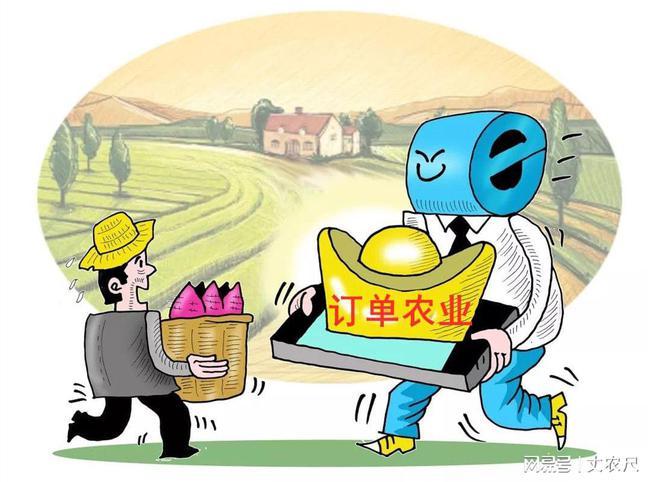 中间商要睡不好觉了商业大佬注资引爆订单农业千亿级市场